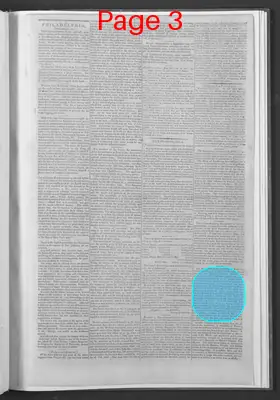 Page thumbnail for National Gazette
