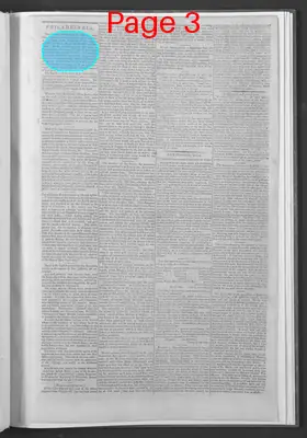 Page thumbnail for National Gazette