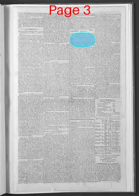 Page thumbnail for National Gazette