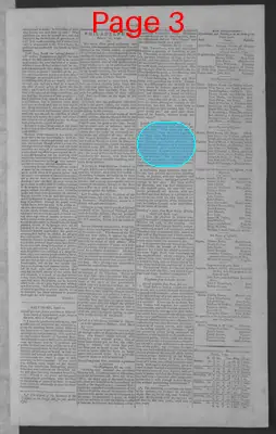 Page thumbnail for National Gazette