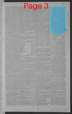 Page thumbnail for National Gazette