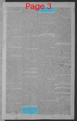 Page thumbnail for National Gazette