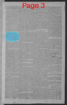 Page thumbnail for National Gazette