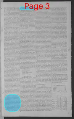 Page thumbnail for National Gazette
