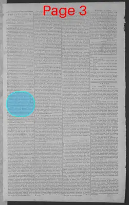 Page thumbnail for National Gazette