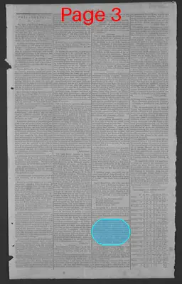 Page thumbnail for National Gazette