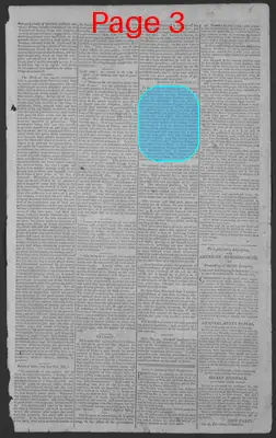 Page thumbnail for National Gazette
