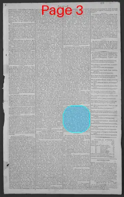 Page thumbnail for National Gazette