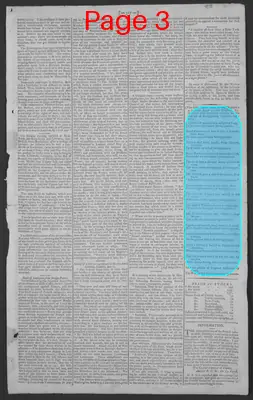 Page thumbnail for National Gazette