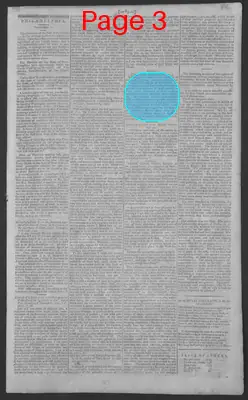 Page thumbnail for National Gazette