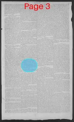 Page thumbnail for National Gazette