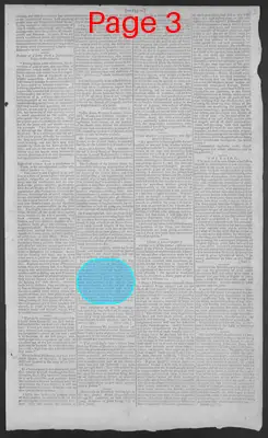 Page thumbnail for National Gazette