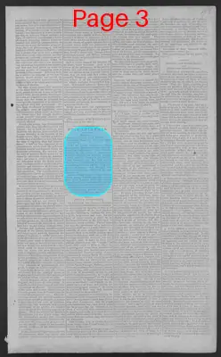 Page thumbnail for National Gazette