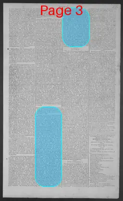 Page thumbnail for National Gazette