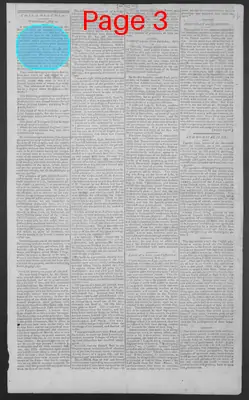 Page thumbnail for National Gazette