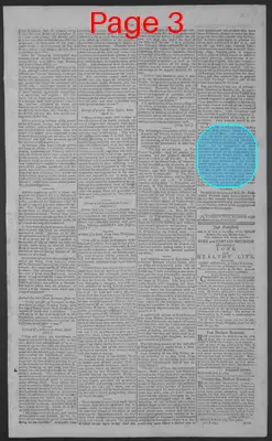 Page thumbnail for National Gazette