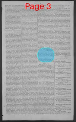Page thumbnail for National Gazette