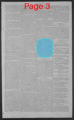 Page thumbnail for National Gazette