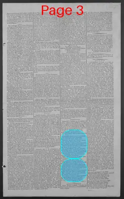 Page thumbnail for National Gazette