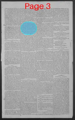 Page thumbnail for National Gazette