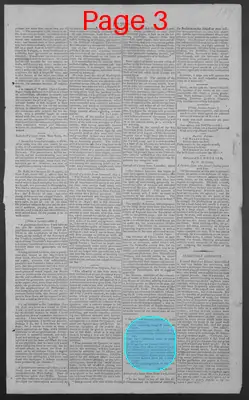 Page thumbnail for National Gazette