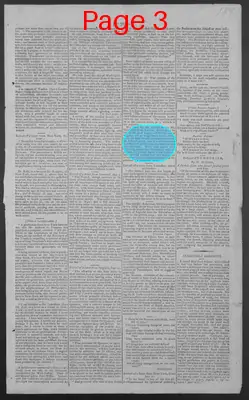 Page thumbnail for National Gazette