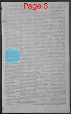 Page thumbnail for National Gazette