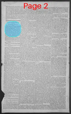 Page thumbnail for National Gazette