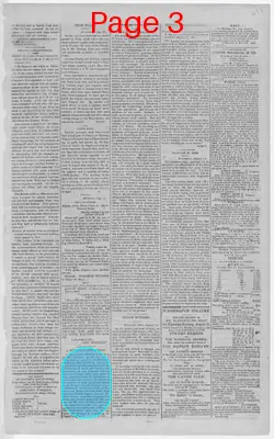 Page thumbnail for Daily National Intelligencer