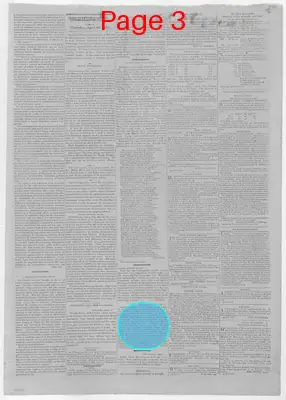Page thumbnail for Daily National Intelligencer