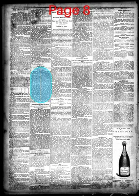 Page thumbnail for The New Orleans Daily Democrat