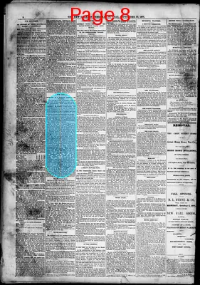 Page thumbnail for The New Orleans Daily Democrat