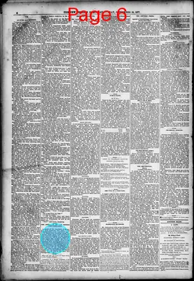 Page thumbnail for The New Orleans Daily Democrat
