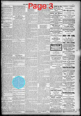 Page thumbnail for The New Orleans Daily Democrat