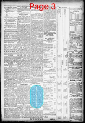 Page thumbnail for The New Orleans Daily Democrat