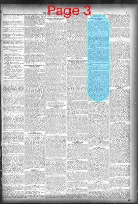 Page thumbnail for The New Orleans Daily Democrat