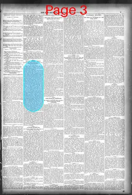 Page thumbnail for The New Orleans Daily Democrat
