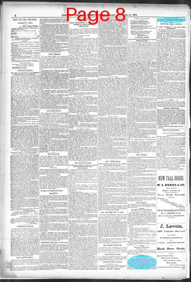 Page thumbnail for The New Orleans Daily Democrat