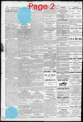 Page thumbnail for The New Orleans Daily Democrat