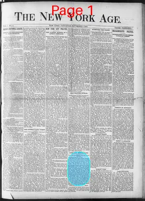 Page thumbnail for The New York Age