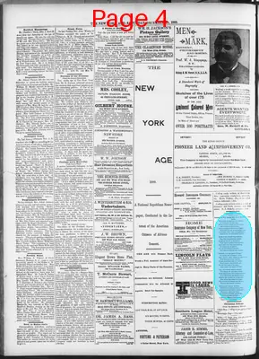 Page thumbnail for The New York Age