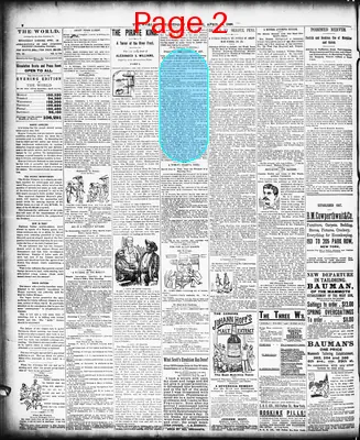 Page thumbnail for The Evening World