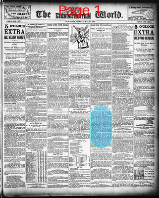 Page thumbnail for The Evening World