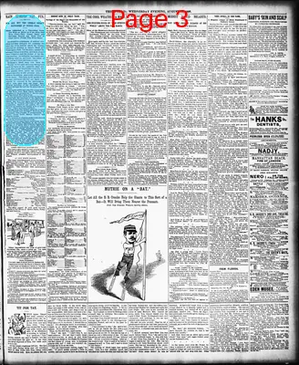 Page thumbnail for The Evening World
