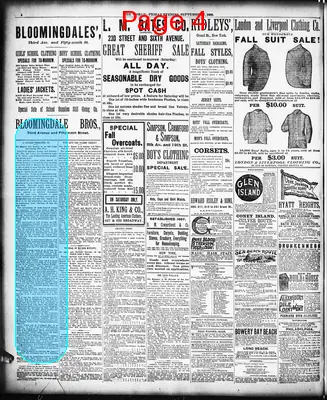 Page thumbnail for The Evening World