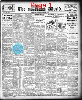 Page thumbnail for The Evening World