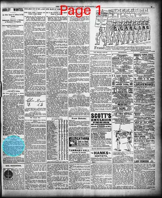 Page thumbnail for The Evening World