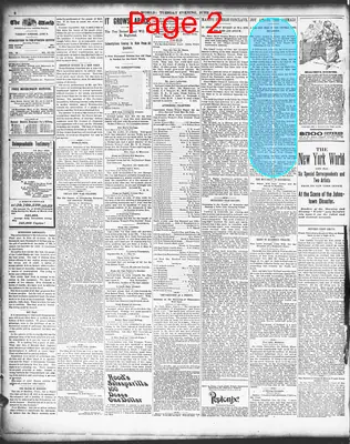 Page thumbnail for The Evening World