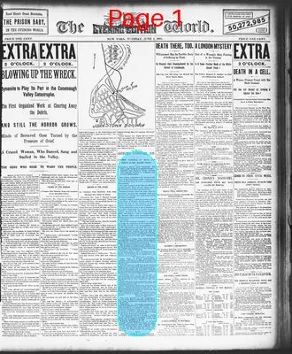 Page thumbnail for The Evening World