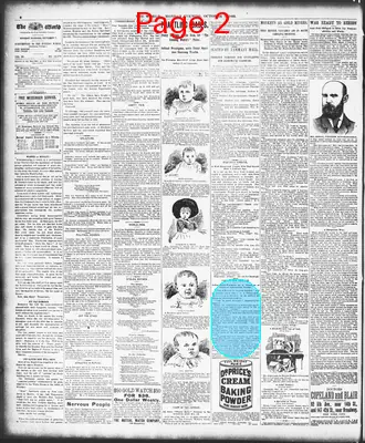 Page thumbnail for The Evening World